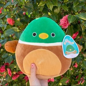 avery mallard duck squishmallow 8” NWT